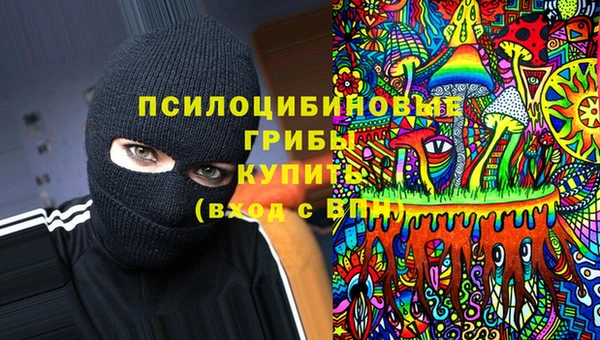 твердый Иннополис