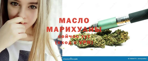 сатива Инсар