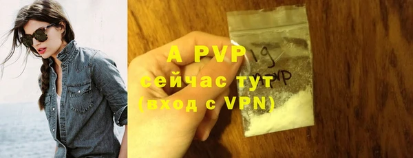сатива Инсар