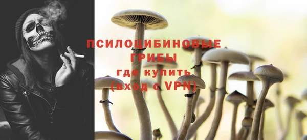 сатива Инсар