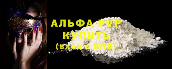 твердый Иннополис