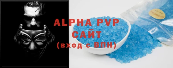 сатива Инсар