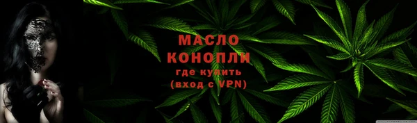 сатива Инсар