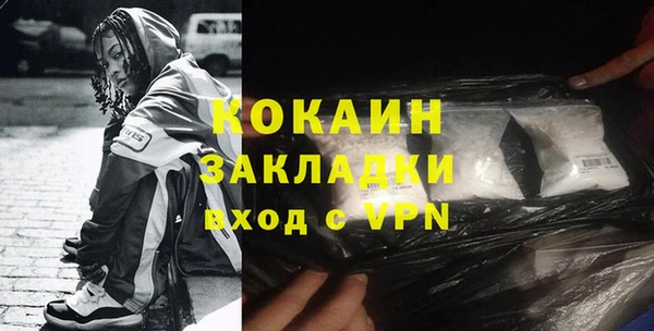 сатива Инсар