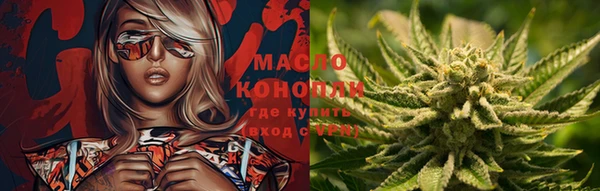сатива Инсар