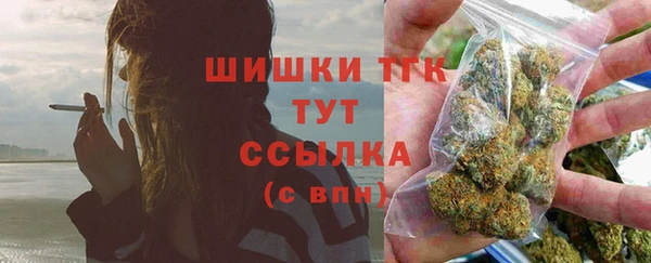 твердый Иннополис