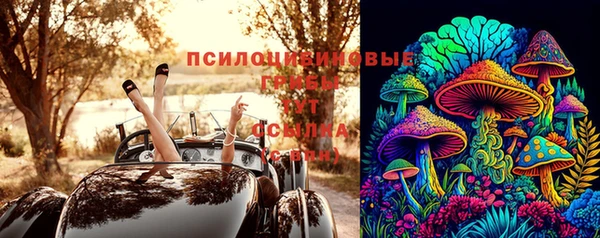 сатива Инсар